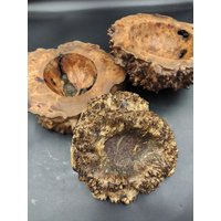 Einzigartige Wurzelholzschale, Handgeschnitzte Servierschale Aus Holz, Handgemachtes, Umweltfreundliches, Nachhaltiges Geschenk Zur Wohnungserwärmung von Pilyon