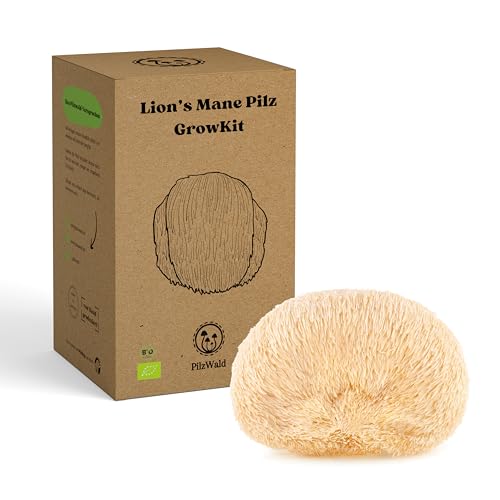 PilzWald Pilzzuchtset GrowKit - Pilze selber züchten - Pilzzucht Set für Anfänger mit Sprühflasche & Bilder-Anleitung - Haus & Garten (Lions Mane) von PilzWald