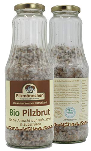 Bio Austernpilz Körnerbrut - Pilze selber züchten von Pilzmännchen