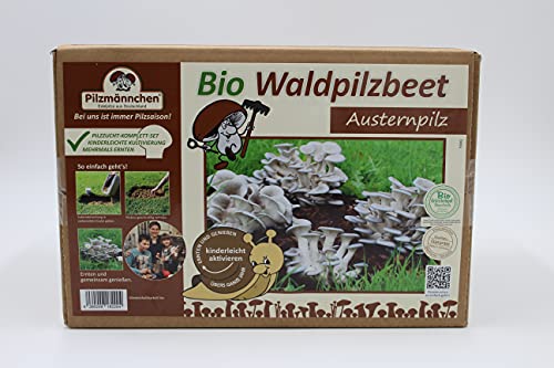 Bio Austernpilz Waldpilzbeet - Pilze selber züchten von Pilzmännchen