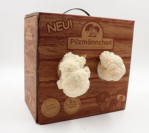 Bio Pom Pom Pilzzuchtbox - Pilze selber züchten von Pilzmännchen