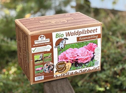 Bio Rosenseitling Waldpilzbeet - Pilze selber züchten von Pilzmännchen