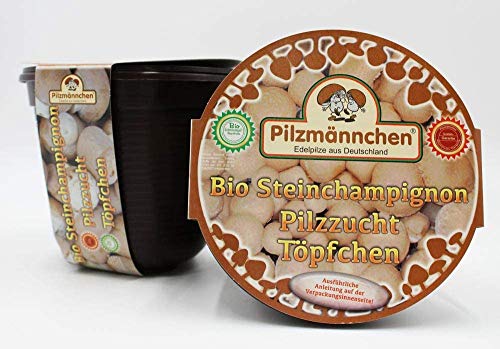 Bio Steinchampignon Pilzzucht Töpfchen - Pilze selber züchten von Pilzmännchen