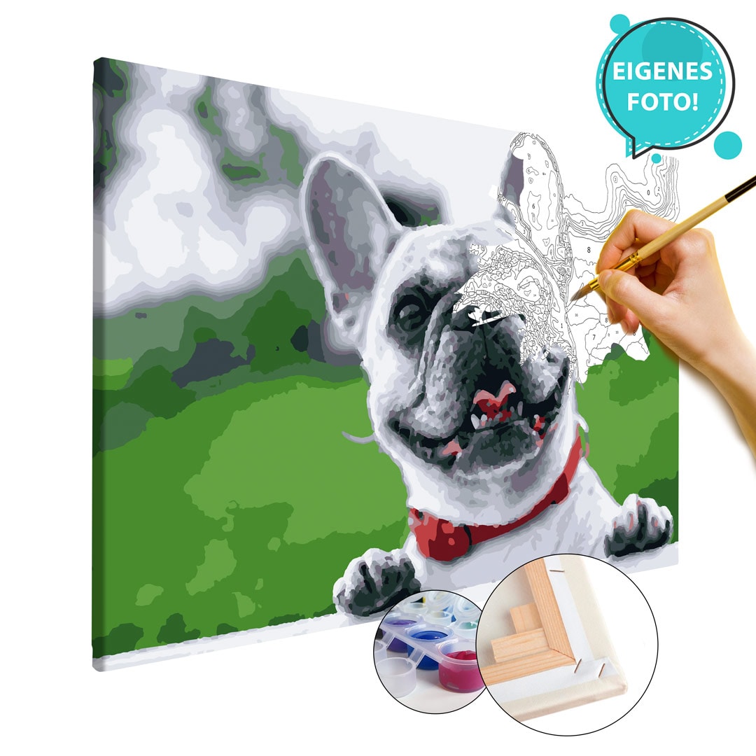 Malen nach Zahlen eigenes Foto, Bild Haustier Hund - 40x60cm, Premium Kiefernholz Keilrahmen von Pimavo
