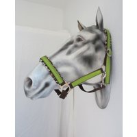 Pferdehalfter "Wild Life" Halfter Pferd Stallhalfter Oder Reithalfter Grösse Warmblut Verstellbar Aus Nylon Benäht Mit Kunstleder in Grün Pferdehalfter "Wild Life" Halfter Pferd Stallhalfter Oder Reithalfter Grösse Warmblut Verstellbar Aus Nylon Benäht Mit Kunstleder in Grün von PimpyourWorld