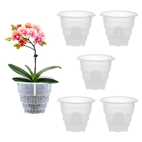 Orchideentöpfe mit Löchern, 6pcs Orchid -Topf -Kunststoff -Orchid -Töpfe mit Löchern klare Orchideentöpfe für das Umputzen von Plastik Orchid -Pflanzer für Zuhause, Innendurchmesser 12 cm von Pineeseatile