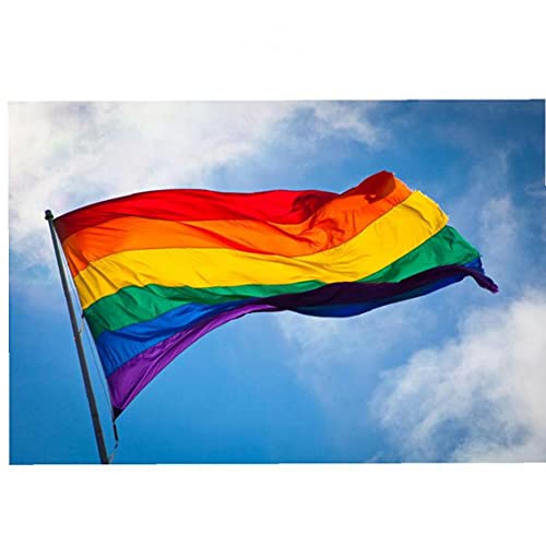 PiniceCore Polyester Regenbogen-Flagge Große LGBT-stolz-Flagge Außen Banner 60 * 90cm von PiniceCore