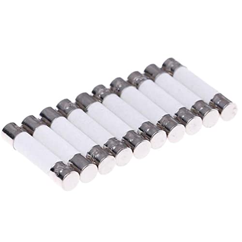 Zonster 10-stück Praktische Keramik-Sicherung, 10A, 250V, Universal, 6x30mm von PiniceCore