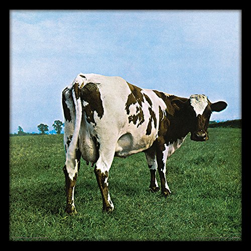 Pink Floyd 'Atom Heart Mother' Memorabilia, 31.5 x 31.5 cm von Pink Floyd