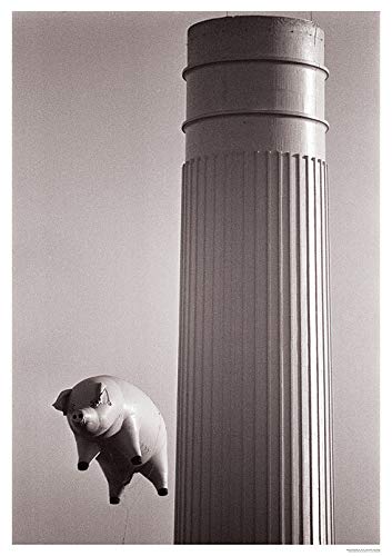 Pink Floyd Poster Animals Tower von Pink Floyd