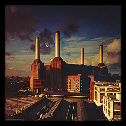 Pink Floyd 'Tiere' Memorabilia, 31.5 x 31.5 cm von Pink Floyd