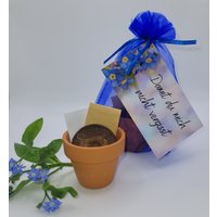 Anzuchtset Vergissmeinnicht Geschenkset - Damit Du Mich Nicht Vergisst Uns Anzuchtset Vergissmeinnicht Geschenkset - Damit Du Mich Nicht Vergisst Uns von PinkFagus