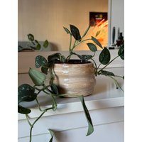 Blumentopf Super-Glossy Perlmutt Gewellt Blumentopf Super-Glossy Perlmutt Gewellt von PinkOrangeCollection