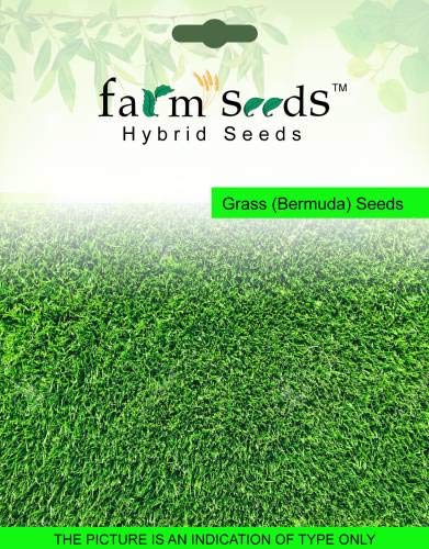 Pinkdose Bermuda Grass Seed von Pinkdose