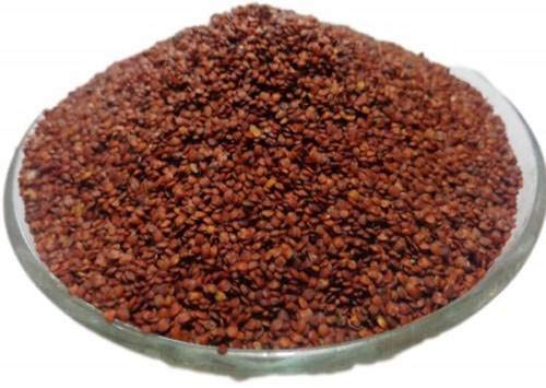 Pinkdose Beste Lajwanti Seeds - Lajjalu - Chu-MUI - Sensitive Pflanzensamen - Mimose - 250 Gramm Samen von Pinkdose