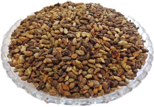Pinkdose Shivalingi Beej - Shivlingi Seed - Bryonia laciniosa Seed - 100Grm, Shivalingi Samen, Bryonia laciniosa Samen, Shiva lingi beej Seed von Pinkdose