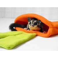 Zuckersegler Und Ratte Möhren Käfig Beutel von PinoyPetCuddleCup