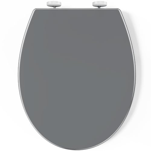 Pipishell Toilettendeckel, WC Sitz mit Absenkautomatik, Quick-Release Funktion für einfach Reinigung, O Form Weiß Toilettensitz mit Verstellbaren Scharnieren, Kunststoffversion (grau) von Pipishell