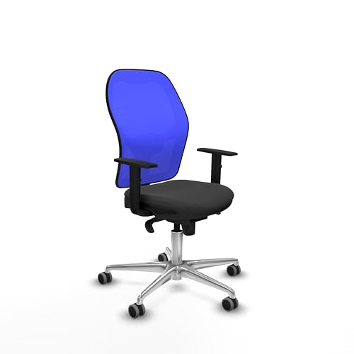 Piqueras y Crespo Arbeitssitz mit fester Rückenlehne, 1D-Arm, 1D Lendenwirbelstütze, 5-fach synchronisierter Mechanismus, für 8 Stunden Nutzung und maximales Gewicht von 120 kg, attraktive Farbe Piqueras y Crespo Arbeitssitz mit fester Rückenlehne, 1D-Arm, 1D Lendenwirbelstütze, 5-fach synchronisierter Mechanismus, für 8 Stunden Nutzung und maximales Gewicht von 120 kg, attraktive Farbe von Piqueras y Crespo