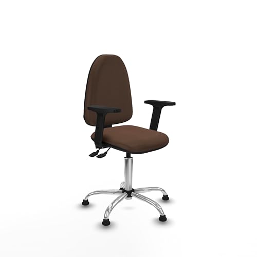 Piqueras y Crespo Aýna Stuhl: der ergonomischste Stuhl zum Lernen und Arbeiten zu Hause mit höhenverstellbarer Rückenlehne, 2D-Armlehnen und asynchronem Mechanismus, unterstützt bis zu max Piqueras y Crespo Aýna Stuhl: der ergonomischste Stuhl zum Lernen und Arbeiten zu Hause mit höhenverstellbarer Rückenlehne, 2D-Armlehnen und asynchronem Mechanismus, unterstützt bis zu max von Piqueras y Crespo