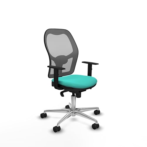 Piqueras y Crespo Bürostuhl, empfohlen für den Schreibtisch, einfach für Büro, mit fester Rückenlehne, Lendenwirbelstütze 1D, Synchronmechanik 5 Positionen, belastbar bis 120 kg Piqueras y Crespo Bürostuhl, empfohlen für den Schreibtisch, einfach für Büro, mit fester Rückenlehne, Lendenwirbelstütze 1D, Synchronmechanik 5 Positionen, belastbar bis 120 kg von Piqueras y Crespo