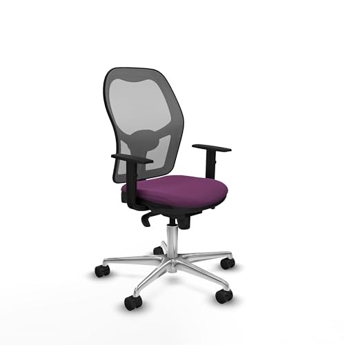 Piqueras y Crespo Chorquera Stuhl für Schreibtisch und Bürostuhl, ideal für 8 Stunden Betrieb, mit 1D-Armen, 1D-Rückenstütze und fester Rückenlehne in attraktiver Farbe Piqueras y Crespo Chorquera Stuhl für Schreibtisch und Bürostuhl, ideal für 8 Stunden Betrieb, mit 1D-Armen, 1D-Rückenstütze und fester Rückenlehne in attraktiver Farbe von Piqueras y Crespo