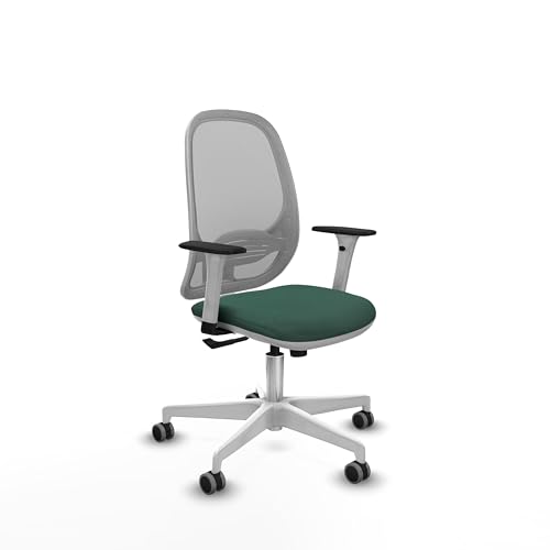 Piqueras y Crespo Cilanco ergonomischer Schreibtischstuhl mit fester Rückenlehne, Lendenwirbelstütze L1D und 1D-Armen, ideal für 8 Stunden Nutzung und maximales Gewicht von 120 kg Piqueras y Crespo Cilanco ergonomischer Schreibtischstuhl mit fester Rückenlehne, Lendenwirbelstütze L1D und 1D-Armen, ideal für 8 Stunden Nutzung und maximales Gewicht von 120 kg von Piqueras y Crespo