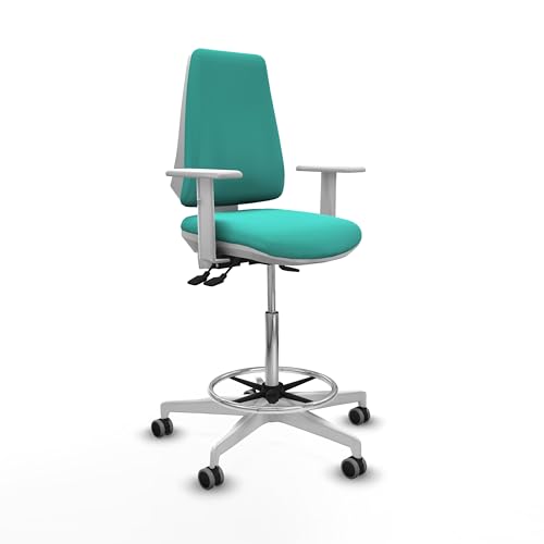 Piqueras y Crespo Elche Hocker: Ideal für Arbeitshocker, Mechanikerhocker, Bürohocker mit Rollen und Arbeitshocker Piqueras y Crespo Elche Hocker: Ideal für Arbeitshocker, Mechanikerhocker, Bürohocker mit Rollen und Arbeitshocker von Piqueras y Crespo