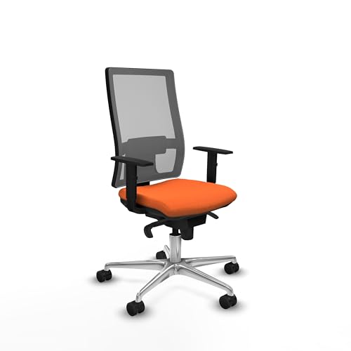 Piqueras y Crespo Ergonomische Computerstühle mit 1D-Armen, Synchronmechanik in 5 Positionen, ohne Kopfteil, Lendenwirbelstütze und höhenverstellbare Rückenlehne. Piqueras y Crespo Ergonomische Computerstühle mit 1D-Armen, Synchronmechanik in 5 Positionen, ohne Kopfteil, Lendenwirbelstütze und höhenverstellbare Rückenlehne. von Piqueras y Crespo