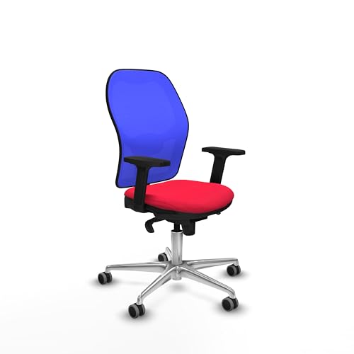 Piqueras y Crespo Ergonomischer Arbeitsstuhl für 8 Stunden, mit fester Rückenlehne, 2D-Armlehnen, 1D Lendenwirbelstütze, 5-fach Synchronmechanik, maximales Gewicht 120 kg, attraktive Farbe von Piqueras y Crespo