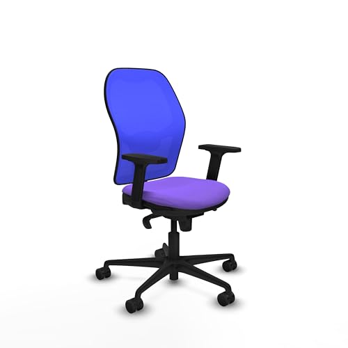 Piqueras y Crespo Ergonomischer Bürostuhl, 8 Stunden Nutzung, maximales Gewicht 120 kg, 2D-Armlehnen, 5-Wege-Synchronmechanismus, 1D Lendenwirbelstütze, feste Rückenlehne, attraktive Farbe Piqueras y Crespo Ergonomischer Bürostuhl, 8 Stunden Nutzung, maximales Gewicht 120 kg, 2D-Armlehnen, 5-Wege-Synchronmechanismus, 1D Lendenwirbelstütze, feste Rückenlehne, attraktive Farbe von Piqueras y Crespo