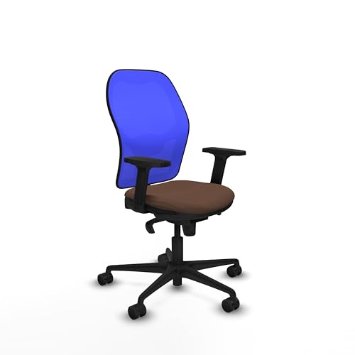 Piqueras y Crespo Ergonomischer Bürostuhl, ergonomisch, ergonomisch, mit fester Rückenlehne, 1D Lendenwirbelstütze, 2D-Arm, 5-Wege-Synchronmechanismus, maximales Gewicht 120 kg, 8 Stunden Nutzung Piqueras y Crespo Ergonomischer Bürostuhl, ergonomisch, ergonomisch, mit fester Rückenlehne, 1D Lendenwirbelstütze, 2D-Arm, 5-Wege-Synchronmechanismus, maximales Gewicht 120 kg, 8 Stunden Nutzung von Piqueras y Crespo
