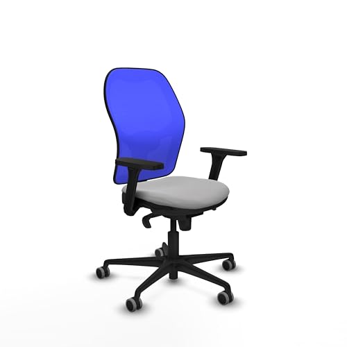 Piqueras y Crespo Ergonomischer Bürostuhl 8 Stunden mit fester Rückenlehne, 3D-Armlehnen, 1D Lendenwirbelstütze, 5-fach Synchronmechanik, maximales Gewicht 120 kg, attraktive Farbe Piqueras y Crespo Ergonomischer Bürostuhl 8 Stunden mit fester Rückenlehne, 3D-Armlehnen, 1D Lendenwirbelstütze, 5-fach Synchronmechanik, maximales Gewicht 120 kg, attraktive Farbe von Piqueras y Crespo
