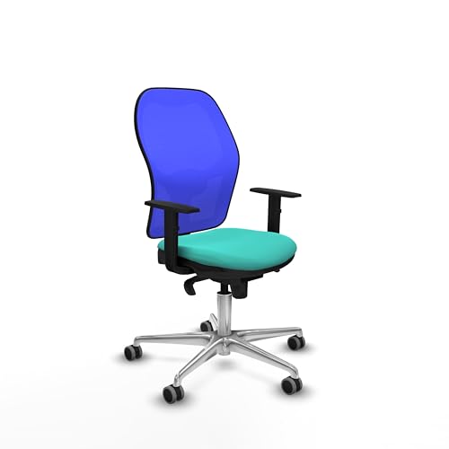Piqueras y Crespo Ergonomischer Bürostuhl für 8-Stunden-Arbeit, maximales Gewicht 120 kg, 1D-Armlehnen, 5-Wege-Synchronmechanismus, 1D Lendenwirbelstütze, feste Rückenlehne, moderne Farbe Piqueras y Crespo Ergonomischer Bürostuhl für 8-Stunden-Arbeit, maximales Gewicht 120 kg, 1D-Armlehnen, 5-Wege-Synchronmechanismus, 1D Lendenwirbelstütze, feste Rückenlehne, moderne Farbe von Piqueras y Crespo