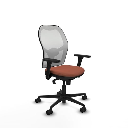 Piqueras y Crespo Ergonomischer Bürostuhl für Büro und Home Office, feste Rückenlehne, 1D Lendenwirbelstütze, 3D-Arm, 5-Wege-Synchronmechanismus, 120 kg, 8 Stunden Nutzung, Farbe Piqueras y Crespo Ergonomischer Bürostuhl für Büro und Home Office, feste Rückenlehne, 1D Lendenwirbelstütze, 3D-Arm, 5-Wege-Synchronmechanismus, 120 kg, 8 Stunden Nutzung, Farbe von Piqueras y Crespo
