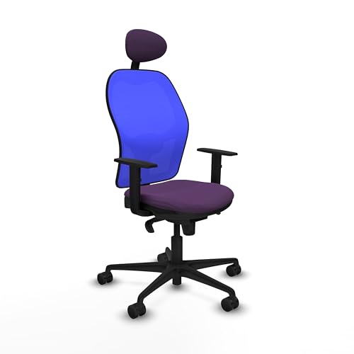 Piqueras y Crespo Ergonomischer Bürostuhl für sitzende Arbeit mit fester Rückenlehne, festes Kopfteil, Lendenwirbelstütze 1D, 1D-Arme, Synchronmechanik 5 Positionen, Maximalgewicht 120 kg, 8 Stunden von Piqueras y Crespo