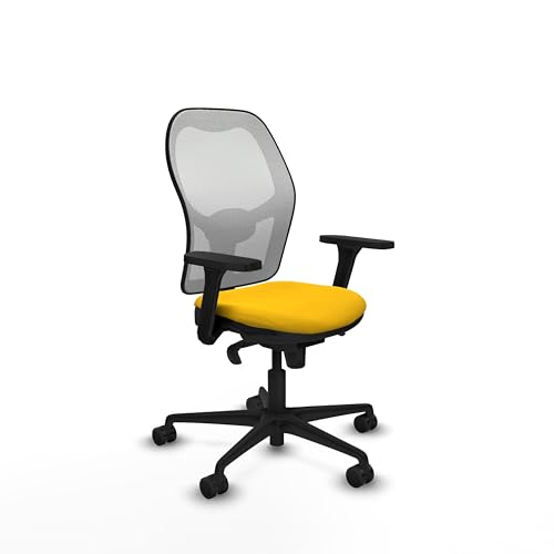 Piqueras y Crespo Ergonomischer Bürostuhl mit 3D-Armen, Synchronmechanik in 5 Positionen, Lendenwirbelstütze 1D, feste Rückenlehne, attraktive Farbe, ideal für 8 Stunden Nutzung und maximales Gewicht Piqueras y Crespo Ergonomischer Bürostuhl mit 3D-Armen, Synchronmechanik in 5 Positionen, Lendenwirbelstütze 1D, feste Rückenlehne, attraktive Farbe, ideal für 8 Stunden Nutzung und maximales Gewicht von Piqueras y Crespo