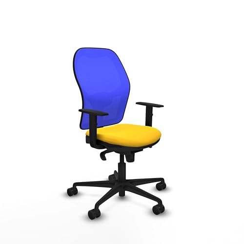 Piqueras y Crespo Ergonomischer Bürostuhl mit fester Rückenlehne, 1D-Arm, 1D Lendenwirbelstütze, 5-fach Synchronmechanik, für 8 Stunden Nutzung und maximales Gewicht von 120 kg von Piqueras y Crespo