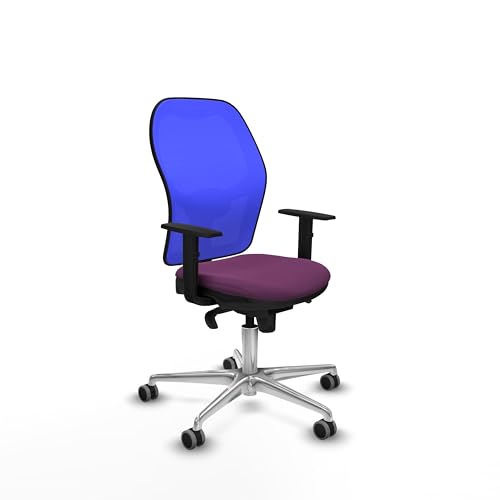 Piqueras y Crespo Ergonomischer Bürostuhl mit fester Rückenlehne, 1D-Arm, 1D Lendenwirbelstütze und 5-fach Synchronmechanik in attraktiver Farbe Piqueras y Crespo Ergonomischer Bürostuhl mit fester Rückenlehne, 1D-Arm, 1D Lendenwirbelstütze und 5-fach Synchronmechanik in attraktiver Farbe von Piqueras y Crespo