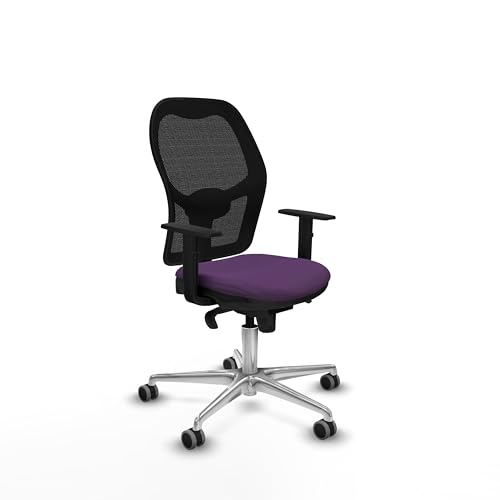 Piqueras y Crespo Ergonomischer Bürostuhl mit fester Rückenlehne, 1D-Arme, Lendenwirbelstütze 1D, Synchronmechanik 5 Positionen, 120 kg, 8 Stunden Verwendung, ideal zum Lernen Piqueras y Crespo Ergonomischer Bürostuhl mit fester Rückenlehne, 1D-Arme, Lendenwirbelstütze 1D, Synchronmechanik 5 Positionen, 120 kg, 8 Stunden Verwendung, ideal zum Lernen von Piqueras y Crespo