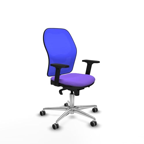 Piqueras y Crespo Ergonomischer Bürostuhl mit fester Rückenlehne, 2D-Armlehnen, 1D Lendenwirbelstütze, 5-fach Synchronmechanik, Maximales Gewicht 120 kg, attraktive Farbe Piqueras y Crespo Ergonomischer Bürostuhl mit fester Rückenlehne, 2D-Armlehnen, 1D Lendenwirbelstütze, 5-fach Synchronmechanik, Maximales Gewicht 120 kg, attraktive Farbe von Piqueras y Crespo