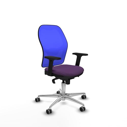 Piqueras y Crespo Ergonomischer Bürostuhl mit fester Rückenlehne, 2D-Armlehnen, 1D Lendenwirbelstütze, 5-fach Synchronmechanik, für 8 Stunden Nutzung und maximales Gewicht von 120 kg Piqueras y Crespo Ergonomischer Bürostuhl mit fester Rückenlehne, 2D-Armlehnen, 1D Lendenwirbelstütze, 5-fach Synchronmechanik, für 8 Stunden Nutzung und maximales Gewicht von 120 kg von Piqueras y Crespo