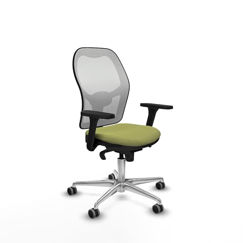 Piqueras y Crespo Ergonomischer Bürostuhl mit fester Rückenlehne, 3D-Armlehnen, 1D Lendenwirbelstütze, 5-fach synchronisierter Mechanismus, 8 Stunden Nutzung und Maximalgewicht 120 kg Piqueras y Crespo Ergonomischer Bürostuhl mit fester Rückenlehne, 3D-Armlehnen, 1D Lendenwirbelstütze, 5-fach synchronisierter Mechanismus, 8 Stunden Nutzung und Maximalgewicht 120 kg von Piqueras y Crespo