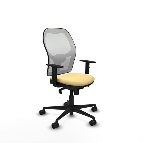 Piqueras y Crespo Ergonomischer Bürostuhl mit fester Rückenlehne, Lendenwirbelstütze 1D, 1D-Arme, Synchronmechanik 5 Positionen, für 8 Stunden Nutzung und Maximalgewicht 120 kg, attraktive Farbe Piqueras y Crespo Ergonomischer Bürostuhl mit fester Rückenlehne, Lendenwirbelstütze 1D, 1D-Arme, Synchronmechanik 5 Positionen, für 8 Stunden Nutzung und Maximalgewicht 120 kg, attraktive Farbe von Piqueras y Crespo