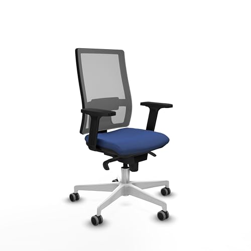 Piqueras y Crespo - Ergonomischer Bürostuhl von Hornas, bequem und zertifiziert, mit 2D-Armen, 5-Wege-Synchronmechanik, Lendenwirbelstütze und verstellbare Rückenlehne. von Piqueras y Crespo