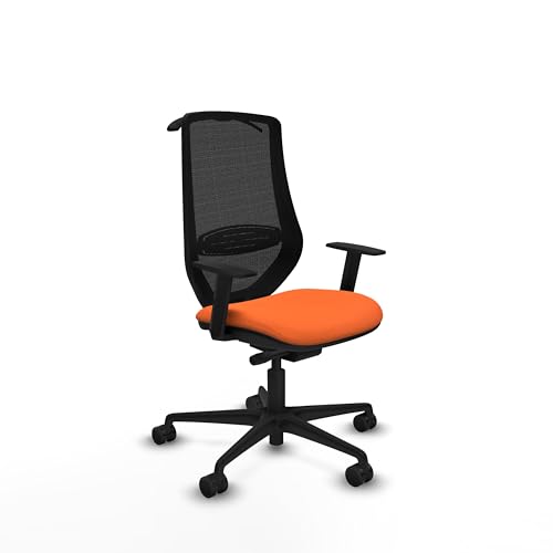 Piqueras y Crespo Ergonomischer Computerstuhl für Telearbeit, mit 1D-Armen, Synchron-/Slack-Mechanismus, Lendenwirbelstütze 1D, feste Rückenlehne, 8 Stunden Nutzung und maximales Gewicht von 120 kg Piqueras y Crespo Ergonomischer Computerstuhl für Telearbeit, mit 1D-Armen, Synchron-/Slack-Mechanismus, Lendenwirbelstütze 1D, feste Rückenlehne, 8 Stunden Nutzung und maximales Gewicht von 120 kg von Piqueras y Crespo