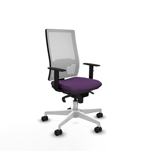 Piqueras y Crespo - Ergonomischer Damenstuhl mit 1D-Armlehnen, Synchronmechanik in 5 Positionen, Lendenwirbelstütze 1D und höhenverstellbare Rückenlehne für Büro. von Piqueras y Crespo
