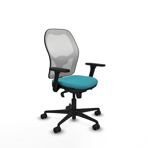 Piqueras y Crespo Ergonomischer Jorquierstuhl für Programmierer und Heimarbeit, mit 3D-Armlehnen, 5-Wege-Synchronmechanismus, 1D Lendenwirbelstütze, feste Rückenlehne, attraktive Farbe von Piqueras y Crespo