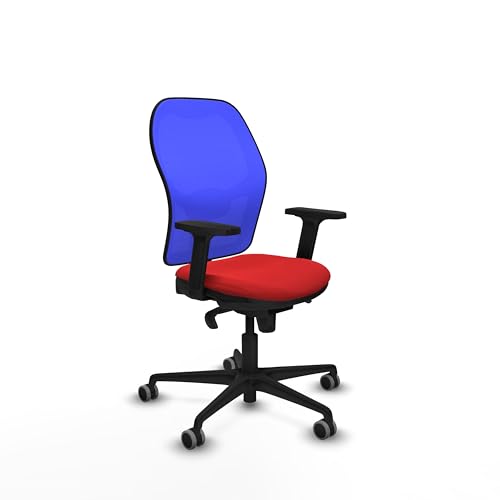 Piqueras y Crespo Ergonomischer Kinderstuhl für Mädchen mit fester Rückenlehne, 1D-Lendenwirbelstütze und 2D-Armen, ideal für 8 Stunden Nutzung und maximales Gewicht von 120 kg von Piqueras y Crespo