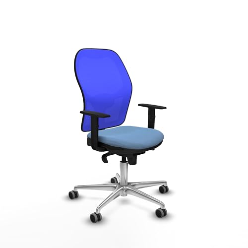 Piqueras y Crespo Ergonomischer Musikerstuhl mit fester Rückenlehne, 1D-Armlehnen, 1D Lendenwirbelstütze, 5-fach Synchronmechanik, 8 Stunden Nutzung, maximales Gewicht 120 kg, Farbe: von Piqueras y Crespo